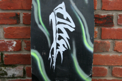 alva_041